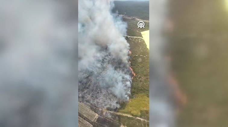 Urla'da orman yangını! Havadan ve karadan yoğun müdahale sürüyor 11